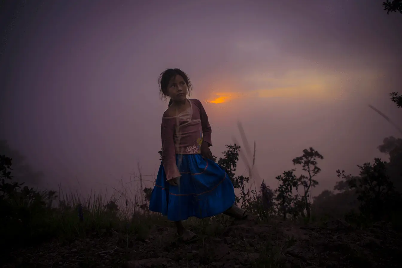 NINIA_HATA2019_1