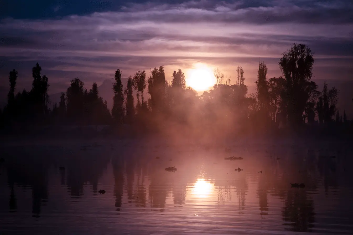 XOCHIMILCO_17