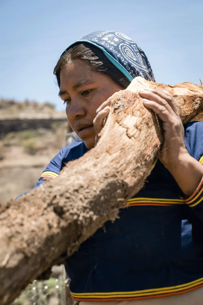Beatriz.Sokol.Hata.Tu.Kari.Junio.2019-49