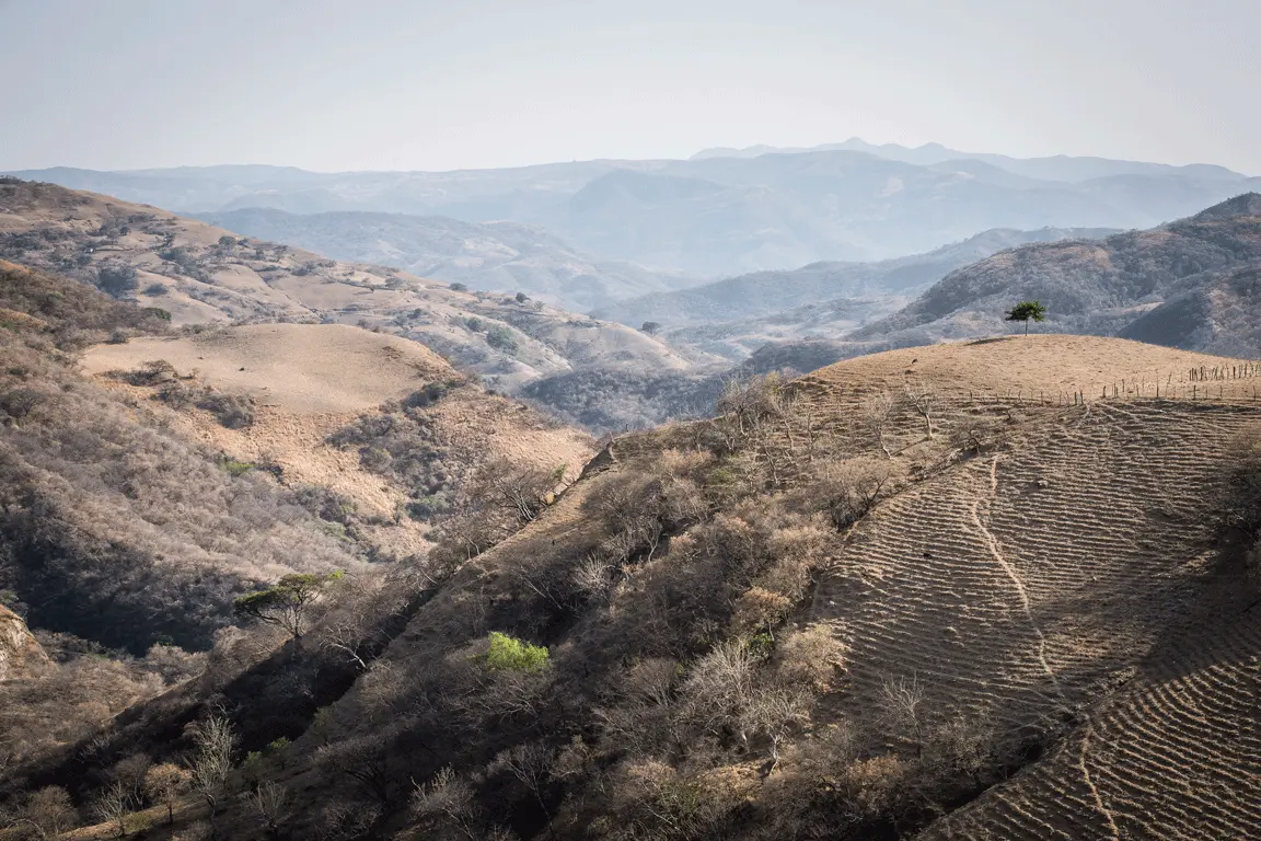 CelsaCalderoniEdoMX-7