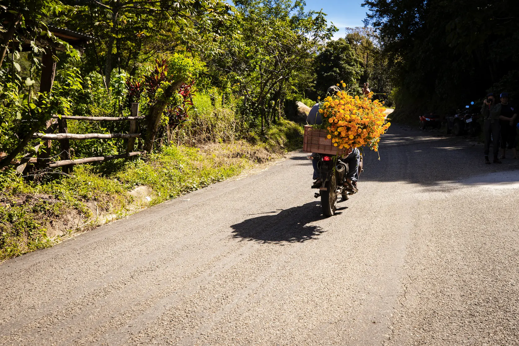 F12_FONDOPAZ_1025_CAMARONI_184