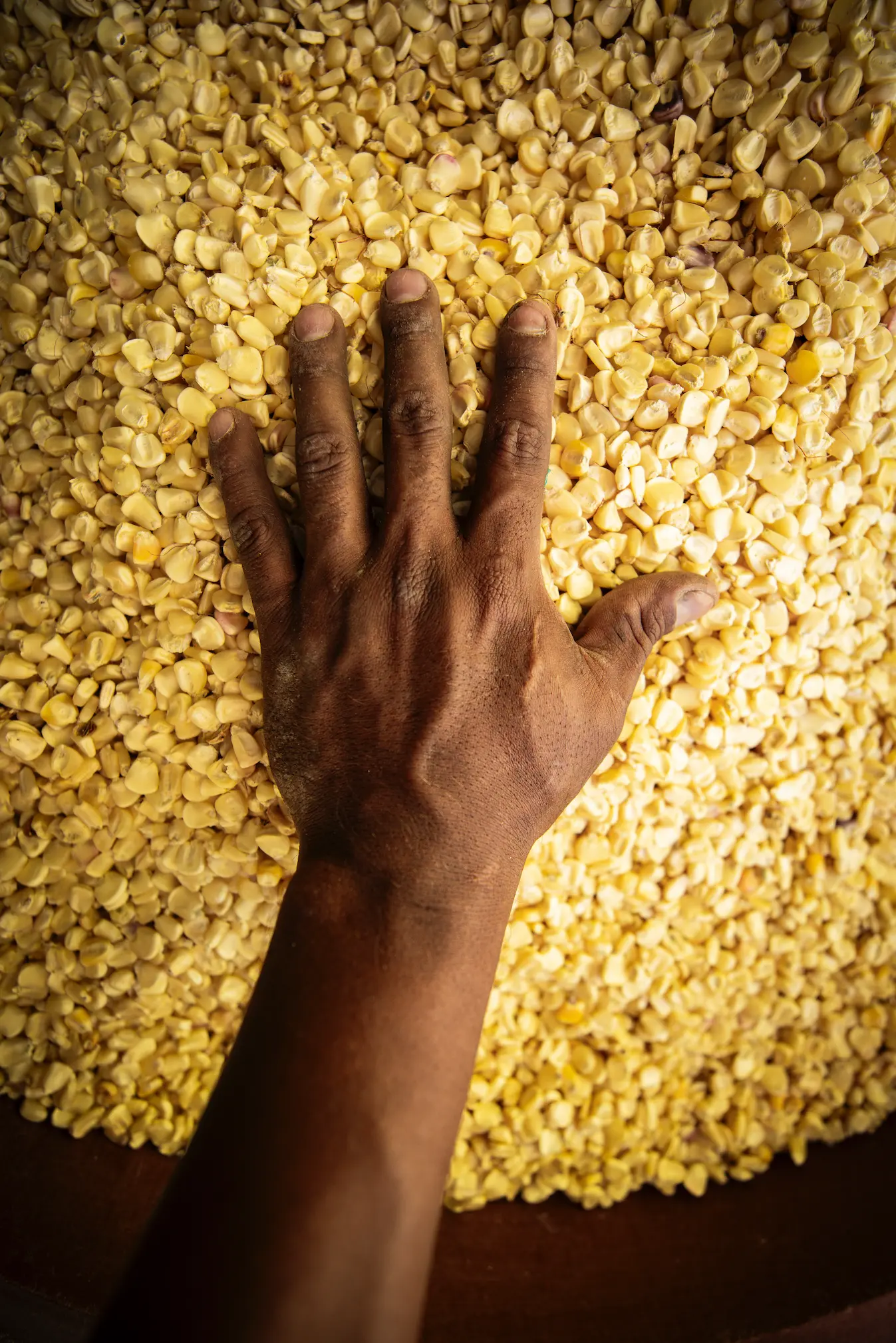 F12_FONDOPAZ_1025_CAMARONI_195