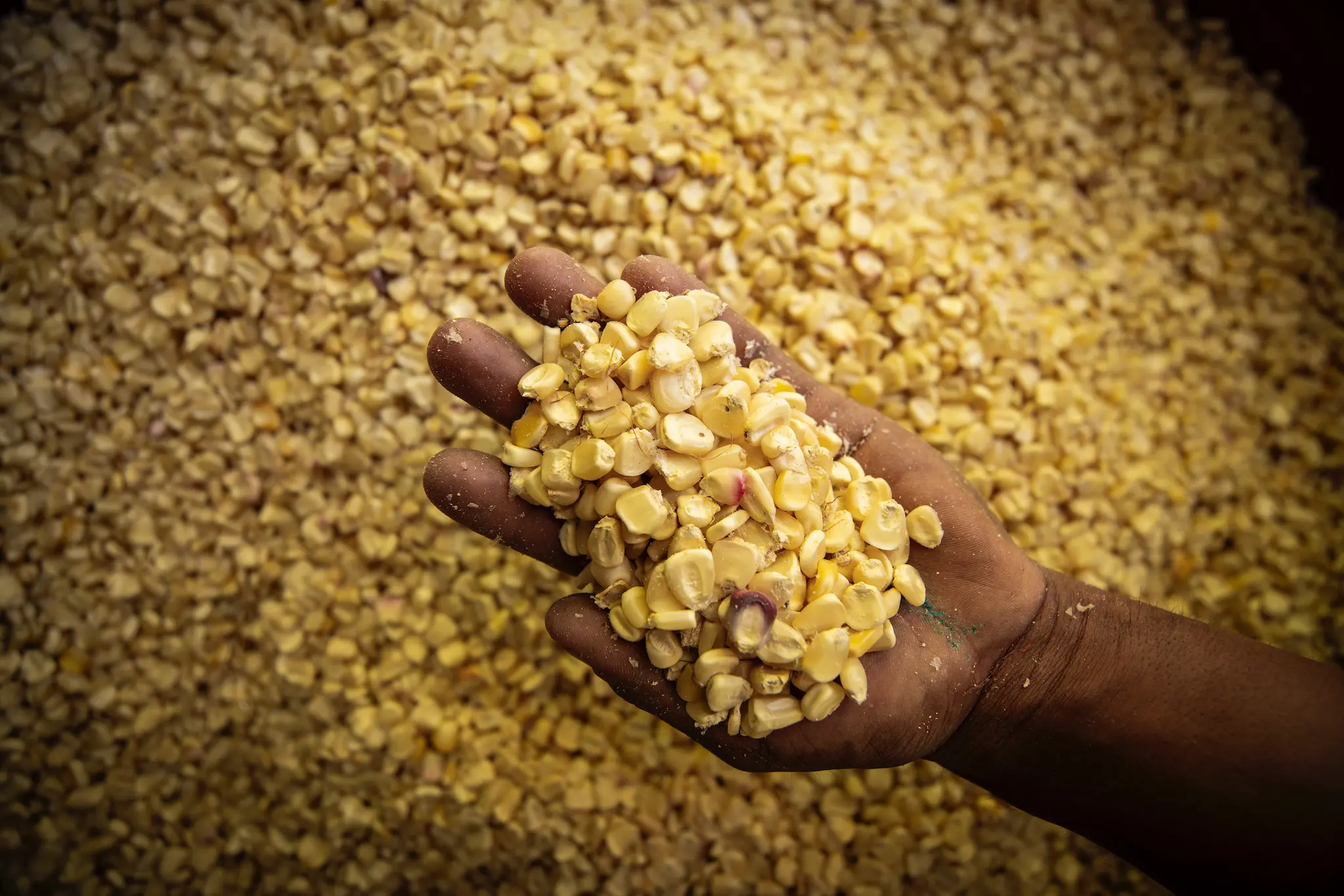 F12_FONDOPAZ_1025_CAMARONI_196