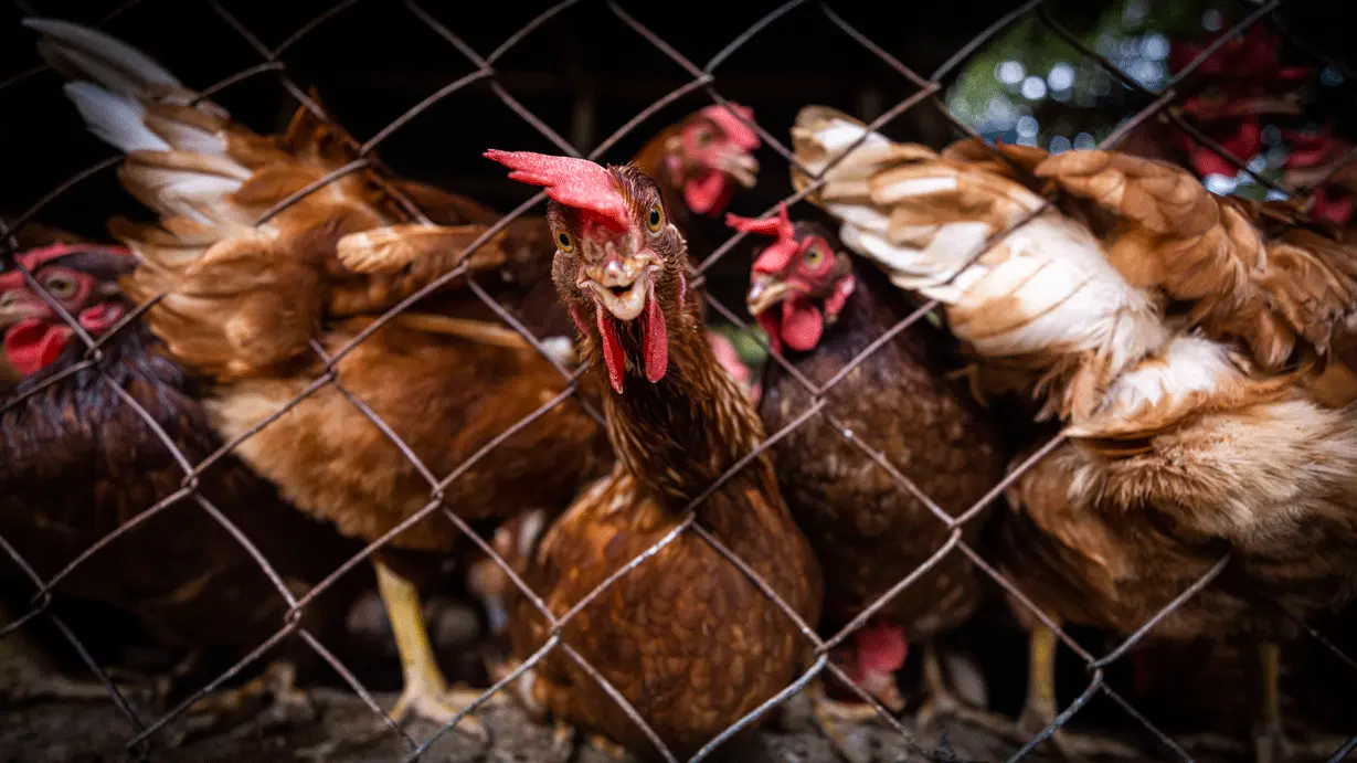 GUATE-JUN22-2-MIGRANJITA_71