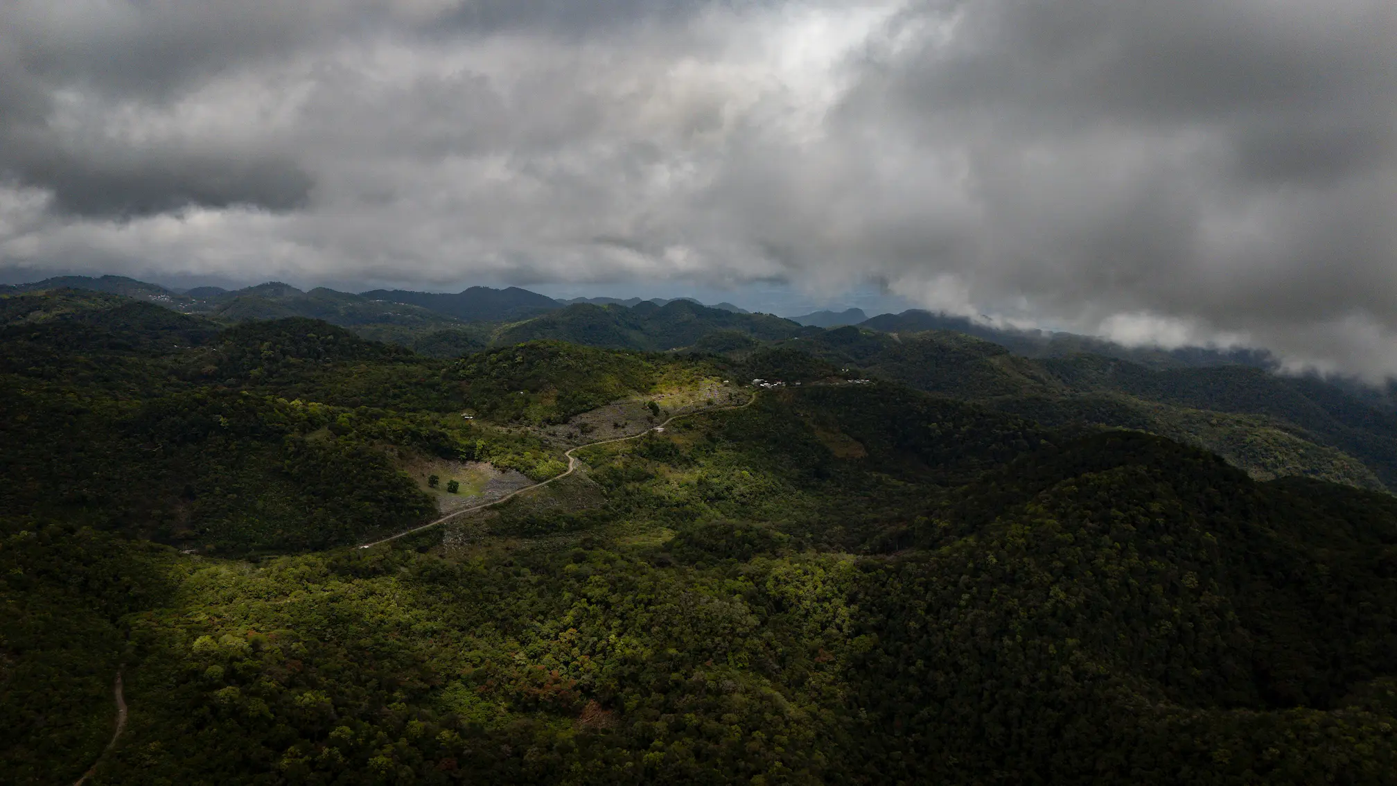 IUUSA-MAZATECA_0325_CAMARONI_304