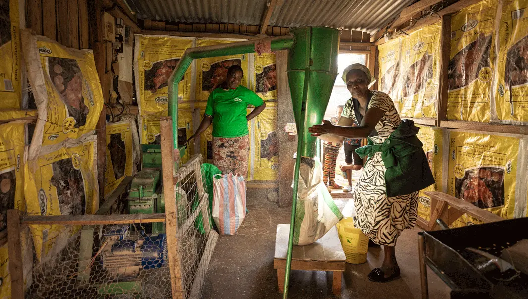 KENIA22_GALLINAZA_85