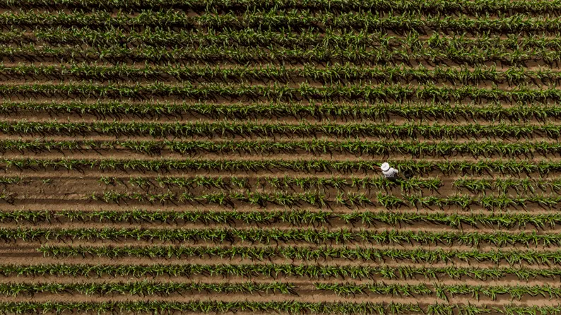 RicardoTrejo-Tlaxcala-2