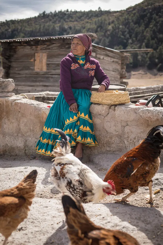 ZUMA+ILUmx_Sarabeachi_33